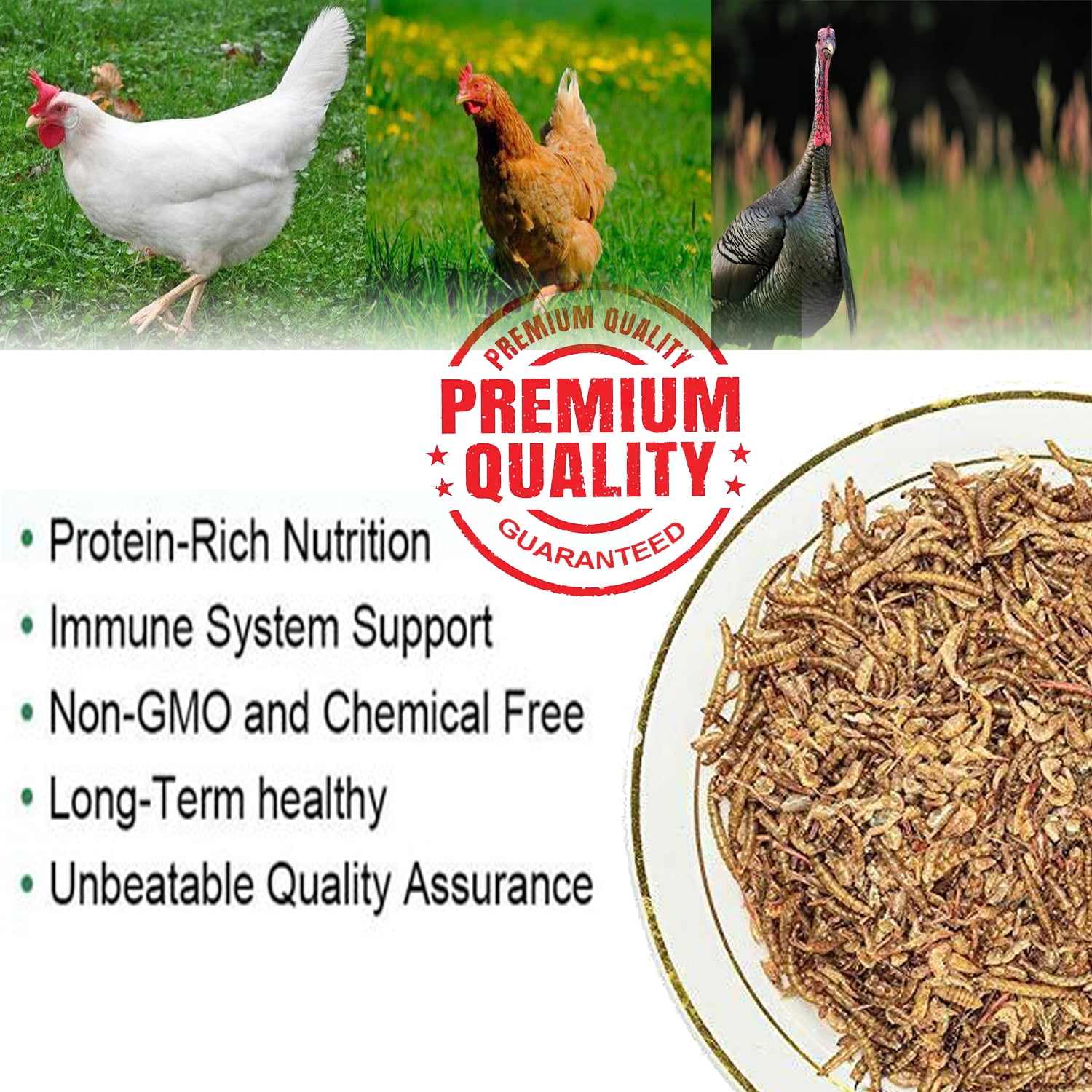 Amzey 2 Pack 1 LB Shrimp & Mealworms, 100% Non-GMO, Wild Bird Food, Chicken Feed, Fish Food, Reptiles Food, 2 lbs Total
