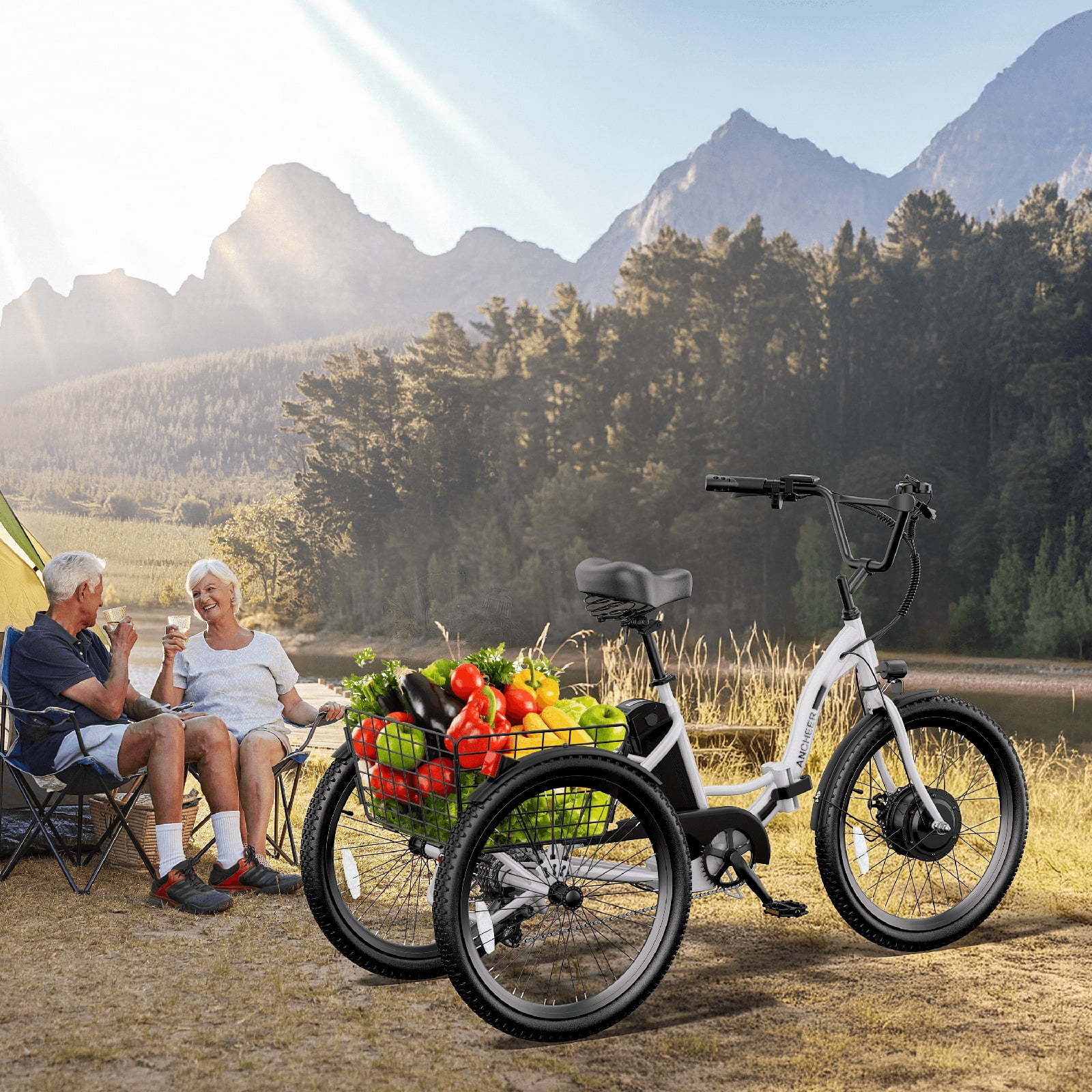 ANCHEER Electric Tricycle for Adults,24" Folding Electric Trike,3 Wheels Electric Bicycle Bikes,350W Step-Thru Etrike with 48V/499Wh Removable Battery,15.5MPH & 55Miles Electric Bike UL2849
