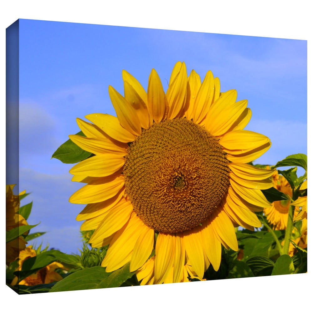 Lindsey Janich "Sunflower" Gallery-Wrapped Canvas