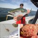 thumbnail image 3 of Alimentador De Pesca, Alimentador De Pesca De 10 Piezas, Método De Alimentador De Pesca En Línea, Alimentador De Pesca En Línea Para Plástico De Pesca De Carpa,11 Feliz Sencillez, 3 of 5