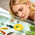 thumbnail image 5 of Floating & Rechargeable Bait Bucket Aerator, Rechargeable Portable Oxygen Pump for Bait Bucket, Quite Water Aerator for Live Bait, Fishing Bubbler for Kayak, Shore & Boat - (B), 5 of 8