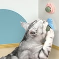 thumbnail image 3 of 3 juguetes de hierba gatera para limpiar los dientes de tu gato., 3 of 6