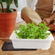 thumbnail image 4 of unbranded 2Ud Macetero Para Plantas Con Fácil Ideal Para Huertos Y, 4 of 8