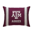 thumbnail image 7 of Pegasus Sports NCAA Throw Pillow, 7 of 7