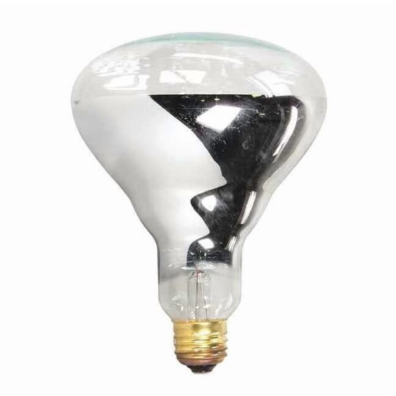 Apw Wyott Lamp 250W,Philips No. 250BR40/1 2E-75410