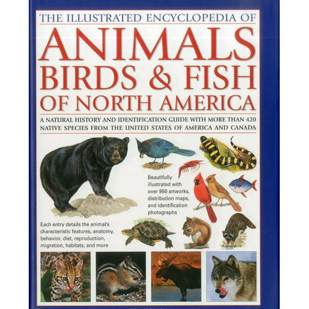 The Illustrated Encyclopedia of Animals, Birds & Fish of North America : A  Natural History and Identification Guide to the Captivating Indigenous  Wildlife of the United States of America and Canada (Hardcover) -