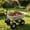 37.5" Silver Wheeled Trolley, variant on 60.63" Wheelbarrow with 14.96 Inch Pneumatic Tire,Hand Trucks with Metal Handle,Suitable for Moving Plants Soil Mulch,Outdoor Use,Orange