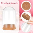 thumbnail image 4 of Juego de 4 campanas de cristal con base de corcho para exhibir botellas decorativas., 4 of 9