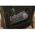 thumbnail image 4 of 31,000 BTU Vent Free Propane Stove Black Enameled Porcelain Cast Iron, 4 of 9