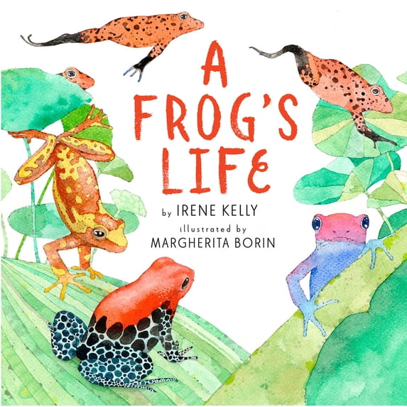 Pre-Owned A Frog's Life (Paperback) 0823447405 9780823447404