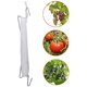thumbnail image 2 of Fiudx Juego de Ganchos para Tomates, Ganchos de Soporte Duraderos para Invernaderos, Clips de Celosía Versátiles, Fácil Instalación para El Crecimiento de Plantas, Jardinería, Cultivo de Hortalizas y, 2 of 6