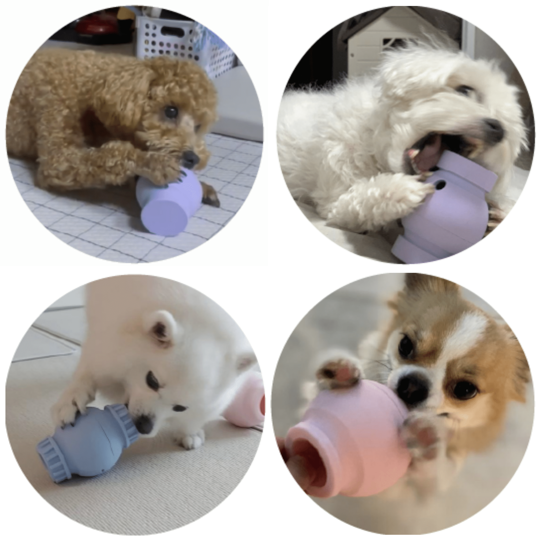 Coconi Ball Dog Nose Work, Dog Snuffle, Dog Training, Pet Activity, Stress Release, Instinct Interactive, Indoor Outdoor, Small to Large Dog, Smell Training