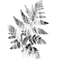 thumbnail image 2 of Lewis, Sheldon 19x24 Gold Ornate Wood Framed with Double Matting Museum Art Print Titled - Faded Fern, 2 of 4