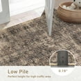 thumbnail image 7 of HOMERRY Area Rug 5' x 7' Rugs for Living Room Modern Washable Indoor Floral Print Carpet, Brown/Red, 7 of 7