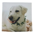 thumbnail image 2 of Labrador | Animals | Dog Pillow | Labrador Retriever | White Labrador | Labrador Gift | Cute Animals | Decorative Throw Pillow | Room Pillow, 2 of 5