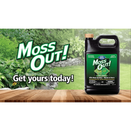 Lilly Miller Moss Out! Lawn Moss Killer Concentrate Herbicide, 1 Gallon