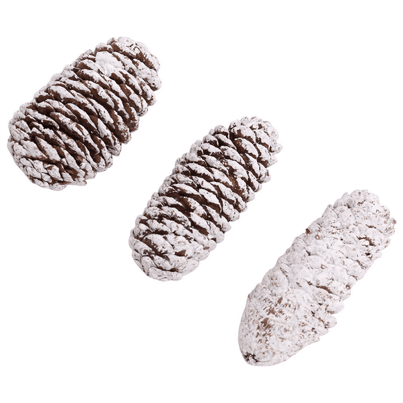 20 PCS Pine Cones Decorations, Natural Snow Pine Cones Large Pine Cones Christmas Pine Cone Ornaments