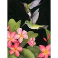 thumbnail image 2 of Popp, Grace 15x18 White Modern Wood Framed Museum Art Print Titled - In the Plumeria II, 2 of 4