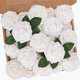 thumbnail image 1 of Flores artificiales N&T NIETING, rosas blancas, 25 unidades, para decoración, 1 of 9