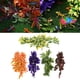 thumbnail image 5 of 5 Uds Plantas de Ratán de Simulación Hábitats de Reptiles Artificiales Plantas Decoraciones de Plantas de Ratán de Plástico Adorno Colgante Anfibio ANGGREK  Otros, 5 of 8