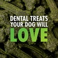 Minties Teeth Cleaner Dental Dog Treats Medium/Large, 40 count