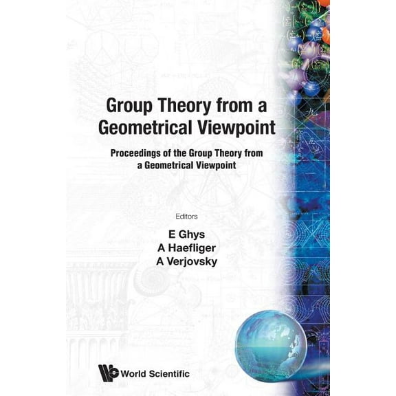 Group Theory Fr a Geometrical Viewpoint, (Paperback)
