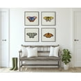 thumbnail image 7 of Kate and Laurel Sylvie Monarch Butterfly Framed Linen Textured Canvas Wall Art by Robert Cadloff of Bomobob, 22x22 Gray, Decorative Nature Art for Wall, 7 of 7