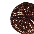 thumbnail image 2 of Stretch Metallic Shining Sequins Berets Women Autumn Spring dance hat Summer Hats Mix Color Party Show Advertising Caps, 2 of 7