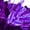 Purple A, variant on LiiYii Kids Girls Cheer Leader Dance Outfit Cheerleading Skirt Set Stage Party Performance Dress Up Blue 6