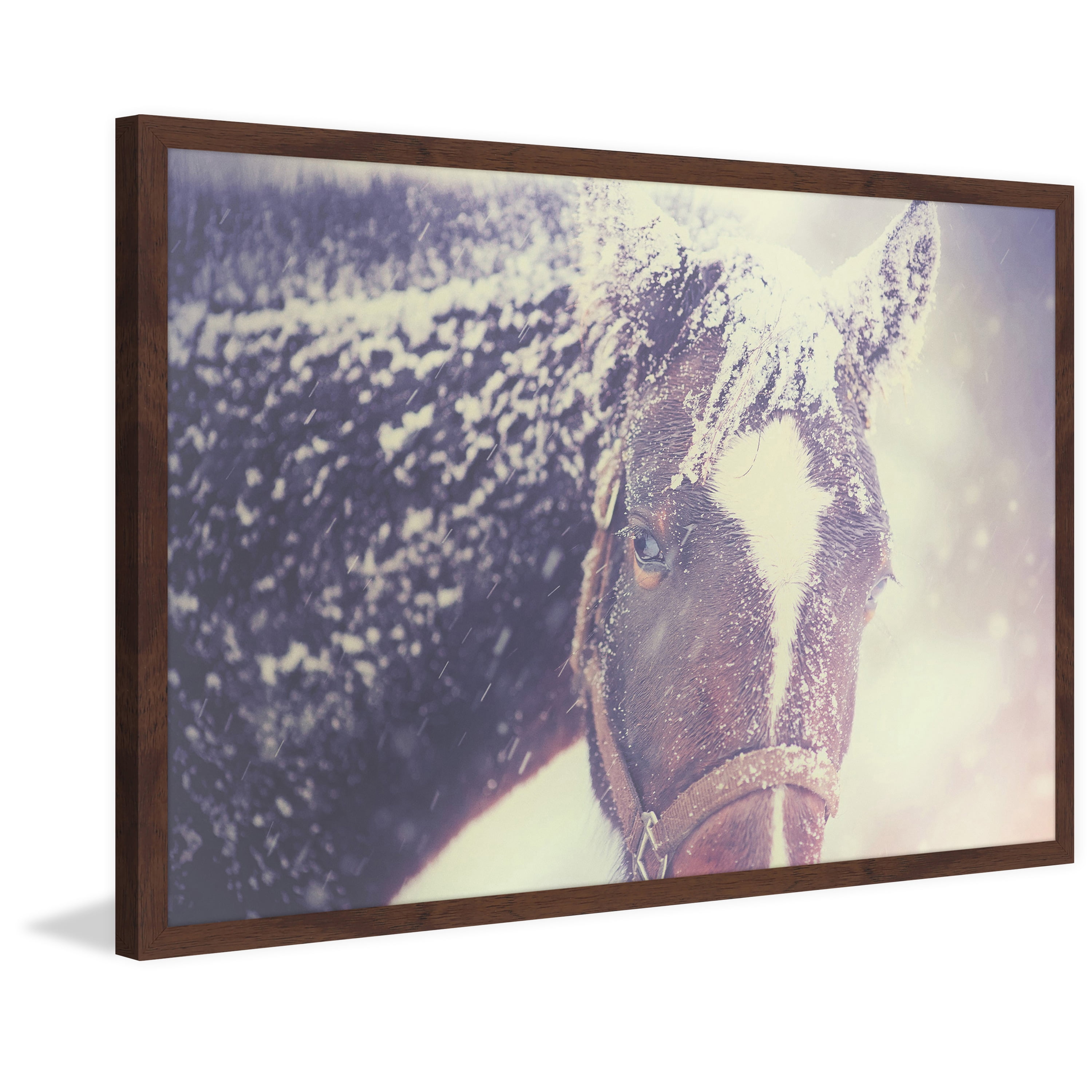 Marmont Hill "Curious Horse" Framed Painting Print