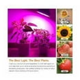 thumbnail image 4 of Paquete de 4 bombillas LED E27 de 10 W de espectro completo, luz de cultivo para plantas de interior, invernadero hidropónico orgánico A+, 4 of 5