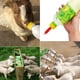 thumbnail image 2 of Pack de 10 tetinas de goma blanda para cordero, oveja, cachorro, potro, ternero, fáciles de atornillar Sailing Electrónica, 2 of 5