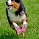 thumbnail image 4 of unbranded 4Ud Para Mascotas En Malla Rosa Con Protección Antideslizante Ideal Para Caminatas Veraniegas, 4 of 6
