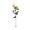 E, variant on ZLBDYG Color-Changing Solar Rose Lights – 7 Color LED Flower Lights for Garden, Pathway, Patio (Waterproof & Long Stem – Energy-Saving Decorative Outdoor Lighting for Nighttime)