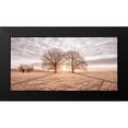 thumbnail image 2 of Frank, Assaf 24x14 Black Modern Framed Museum Art Print Titled - Trees in meadow, 2 of 5