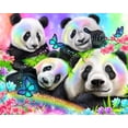thumbnail image 2 of Sheena Pike Art 24x20 White Modern Wood Framed Museum Art Print Titled - Best Buddies - Rainbow Pandas, 2 of 4