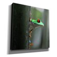 thumbnail image 2 of Epic Graffiti 'Red Eyed Tree Frog' by Dana Brett Munach, Canvas Wall Art, 26"x26", 2 of 8