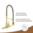 thumbnail image 4 of Boyel Living Kitchen Faucet in Brushed Gold, 2-Mode Sprayer Spring Kitchen Sink Faucet with Towel Rack, Kitchen Faucet for Kitchen Sink, 4 of 8