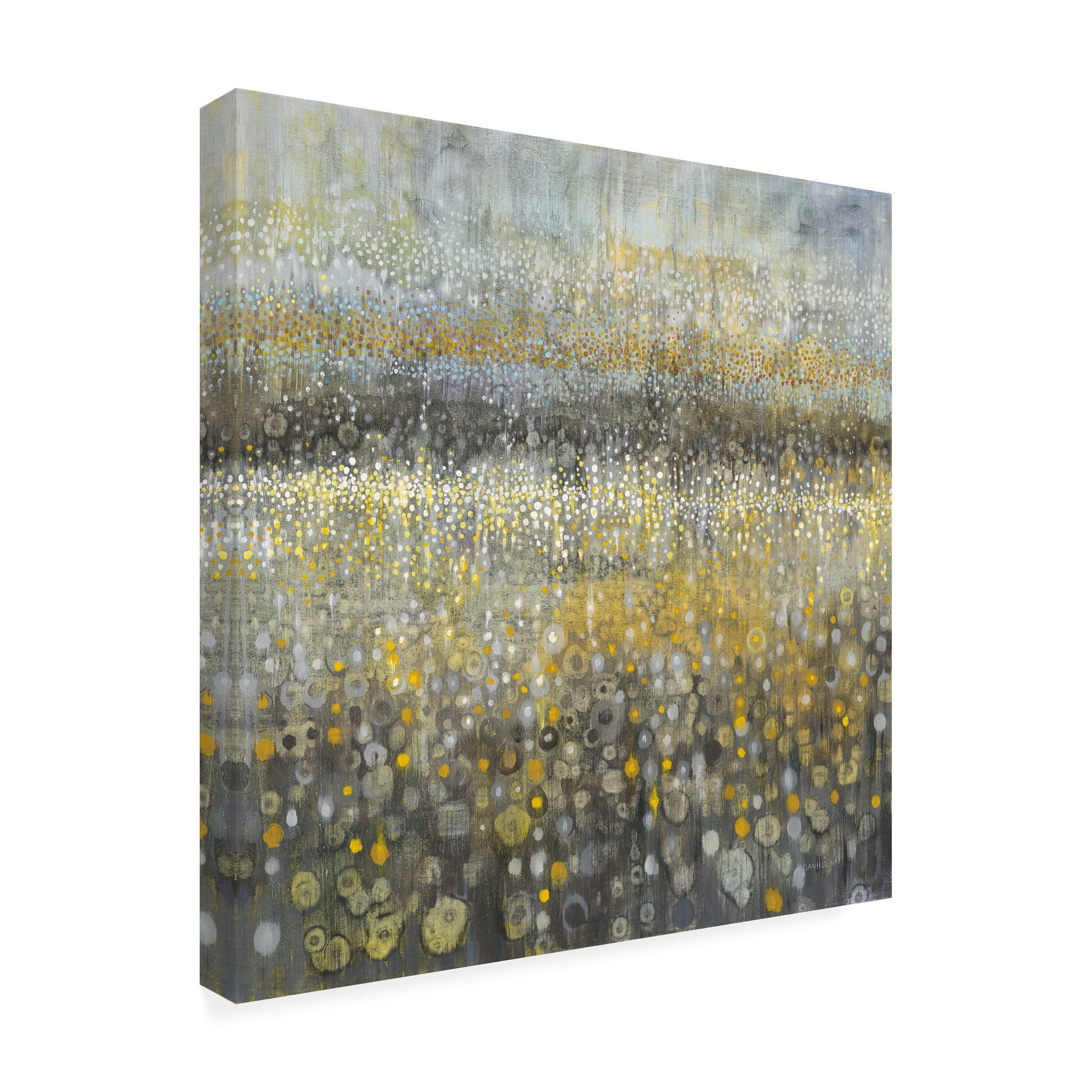 Trademark Fine Art 'Rain Abstract II' Canvas Art by Danhui Nai