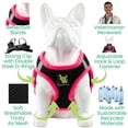thumbnail image 4 of Arnés para perros EcoBark Step-in, reflectante, ajustable, XL, 4 of 9