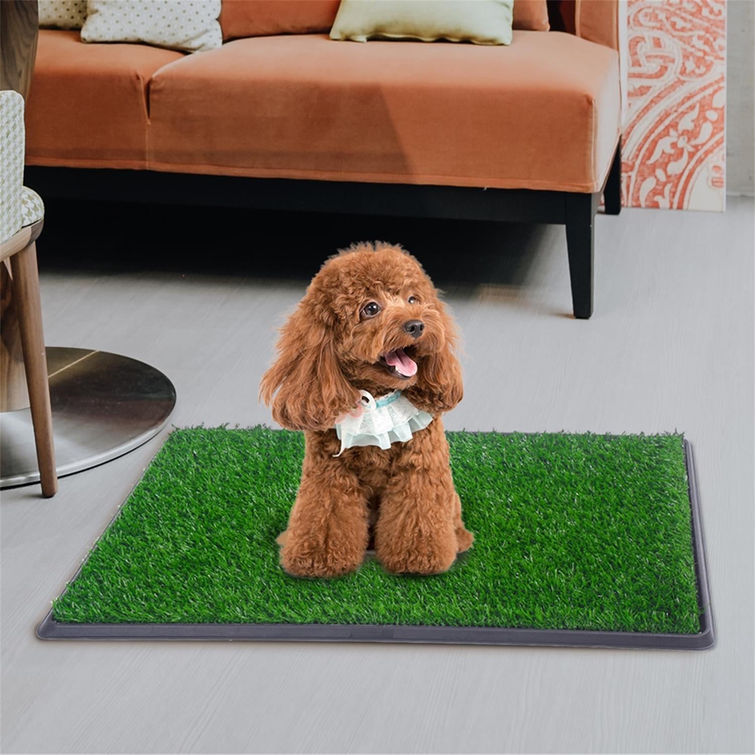 Pefilos 30" Dog Grass Puppy Pee Pad Reusable 3-Layer Training Potty Pad with Tray, Small Pet Toilet for Dog Housebreaking Supplies, Green Pefilos 30" Dog Grass Puppy Pee Pad Reusable 3-Layer Training Potty Pad with Tray, Small Pet Toilet for Dog Housebreaking Supplies, Green