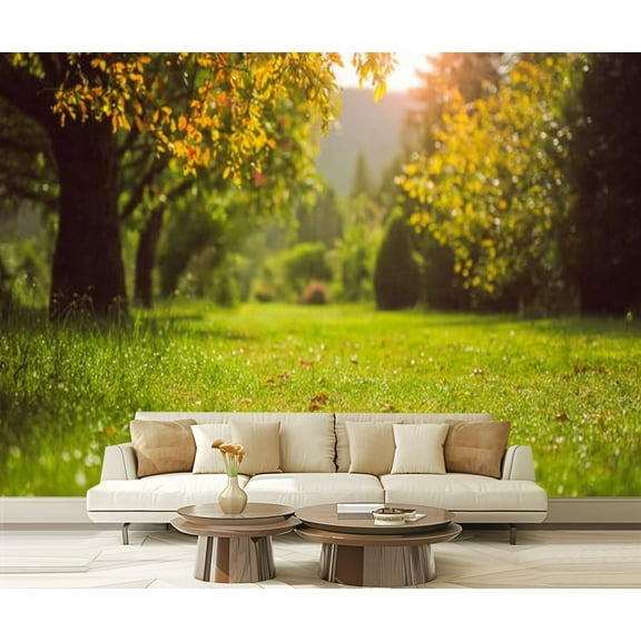 Peel and Stick Wallpaper Low sun soft sunlight park illuminate grass trees toned autumn Modern Art Wall Mural Decor Self Adhesive and Removable 69in x 98in