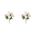 thumbnail image 2 of Advancent Flores artificiales hipoalergénicas no tóxicas y amigables con las mascotas de seda Seguras para gatos y perros Sin riego Amplia Type3 NO3, 2 of 6