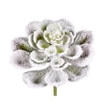 thumbnail image 3 of Vickerman 6-8" Artificial Frosted Succulents, Pack of 3, 3 of 6
