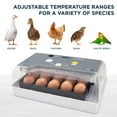 thumbnail image 6 of Jumbl Clear Egg Incubator, Fully Automatic Digital Poultry Hatching Machine, 6 of 10