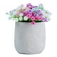 thumbnail image 5 of Flores artificiales de gypsophila, pequeñas plantas falsas, realistas, decorativas, artificiales. Vistoso, 5 of 9