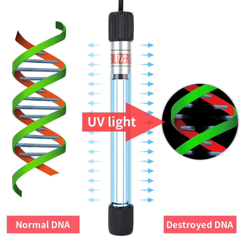 Lampe germicide UV à minuterie Lampe germicide pour aquarium de