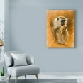 thumbnail image 3 of Trademark Fine Art 'Green Monkey' Canvas Art by Michael Jackson, 3 of 3