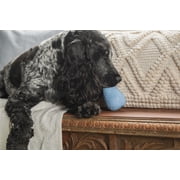 Harry Barker Durable Rubber Treater Dog Toy, Blue, Large