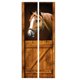 thumbnail image 2 of Gwong Decoración hogareña 2 unids / set Efecto 3D Patrón de caballo Pegatina de pared Fácil de aplicar Pegatina de PVC desmontable Decoración para el hogar Gwong 21079089, 2 of 6